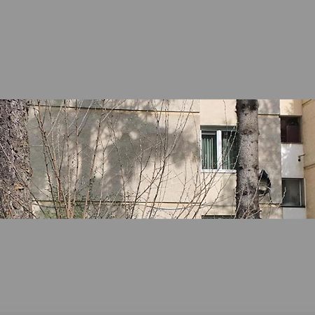 Maria'S Apartments Targu Mures Exterior photo